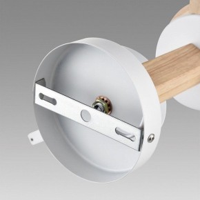 Люстра на штанге Lumion Colange 8095/3C в Троицке - troick.mebel24.online | фото 6