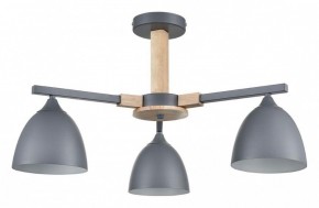 Люстра на штанге Lumion Colange 8096/3C в Троицке - troick.mebel24.online | фото