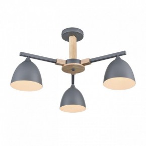 Люстра на штанге Lumion Colange 8096/3C в Троицке - troick.mebel24.online | фото 3