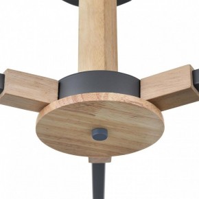 Люстра на штанге Lumion Colange 8096/3C в Троицке - troick.mebel24.online | фото 7