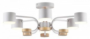 Люстра на штанге Lumion Rondo 8231/6C в Троицке - troick.mebel24.online | фото 2