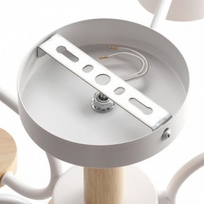 Люстра на штанге Lumion Rondo 8231/6C в Троицке - troick.mebel24.online | фото 6