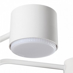 Люстра на штанге Lumion Rondo 8231/6C в Троицке - troick.mebel24.online | фото 7