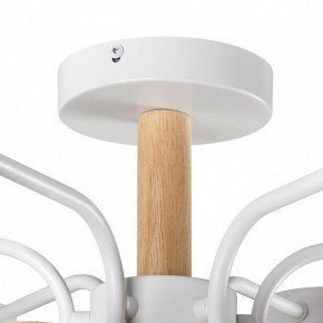 Люстра на штанге Lumion Rondo 8231/6C в Троицке - troick.mebel24.online | фото 8
