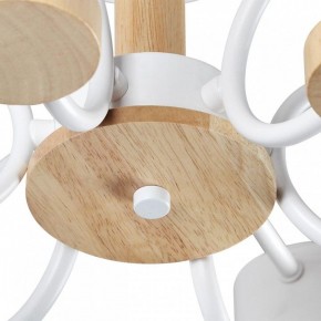 Люстра на штанге Lumion Rondo 8231/6C в Троицке - troick.mebel24.online | фото 9