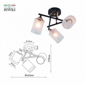 Люстра на штанге Rivoli Fiona Б0059259 в Троицке - troick.mebel24.online | фото