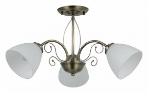 Люстра на штанге Rivoli Sue Б0060985 в Троицке - troick.mebel24.online | фото