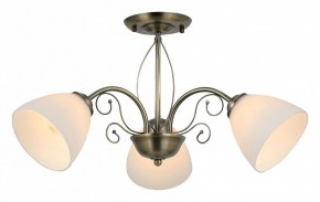 Люстра на штанге Rivoli Sue Б0060985 в Троицке - troick.mebel24.online | фото 2