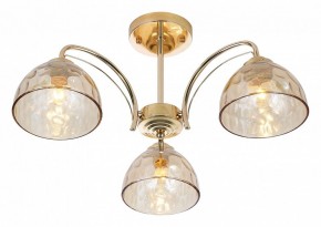 Люстра на штанге Rivoli Terri Б0060988 в Троицке - troick.mebel24.online | фото