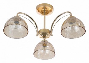Люстра на штанге Rivoli Terri Б0060988 в Троицке - troick.mebel24.online | фото 2
