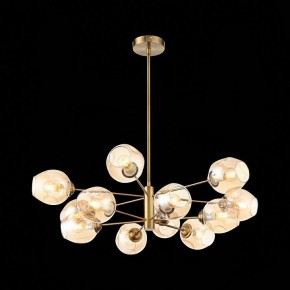 Люстра на штанге ST-Luce Fovia SL1500.203.12 в Троицке - troick.mebel24.online | фото 4