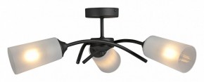 Люстра на штанге Vitaluce V2850 V2850-1/3PL в Троицке - troick.mebel24.online | фото 3