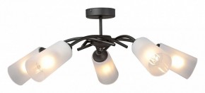 Люстра на штанге Vitaluce V2850 V2850-1/5PL в Троицке - troick.mebel24.online | фото