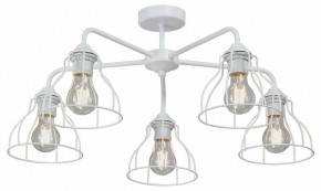 Люстра на штанге Vitaluce V3102 V3102-0/5PL в Троицке - troick.mebel24.online | фото