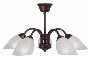 Люстра на штанге Vitaluce V3335 V3335-7/5PL в Троицке - troick.mebel24.online | фото