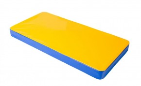 Мат гимнастический 1х0,5х0,08м цв. синий-желтый в Троицке - troick.mebel24.online | фото 1