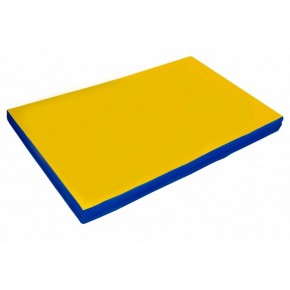 Мат гимнастический 2х1х0,05м цв. синий-желтый в Троицке - troick.mebel24.online | фото