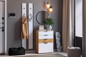 МЕБЕЛЬСОН К21 Прихожая в Троицке - troick.mebel24.online | фото