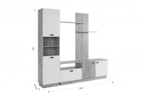 МОДИ Гостиная (модульная) белое дерево в Троицке - troick.mebel24.online | фото 2