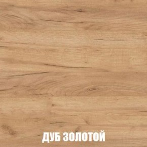 МСП-1 Шкаф 2-х створчатый (Дуб Золотой/Камень темный) в Троицке - troick.mebel24.online | фото 4