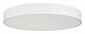 Накладной светильник Arlight TOR PILL 022132(4) в Троицке - troick.mebel24.online | фото