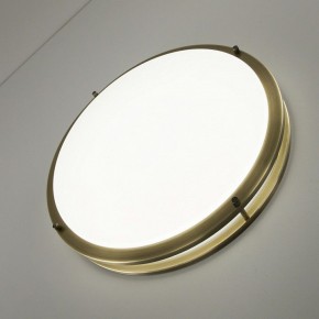 Накладной светильник Citilux Бостон CL709503N в Троицке - troick.mebel24.online | фото 7
