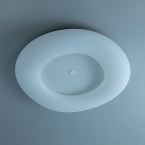 Накладной светильник Citilux Стратус Смарт CL732A800G в Троицке - troick.mebel24.online | фото 10