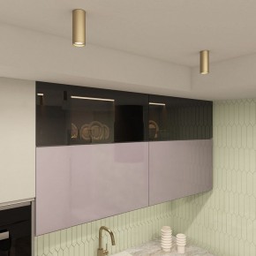 Накладной светильник Denkirs TUBE DK2051-SG в Троицке - troick.mebel24.online | фото 4