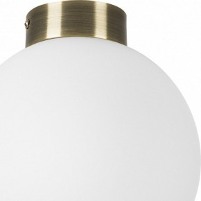 Накладной светильник Lightstar Globo 812021 в Троицке - troick.mebel24.online | фото 3