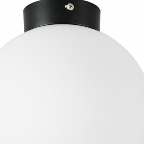 Накладной светильник Lightstar Globo 812027 в Троицке - troick.mebel24.online | фото 2
