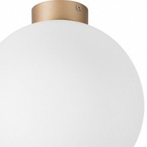 Накладной светильник Lightstar Globo 812033 в Троицке - troick.mebel24.online | фото 2