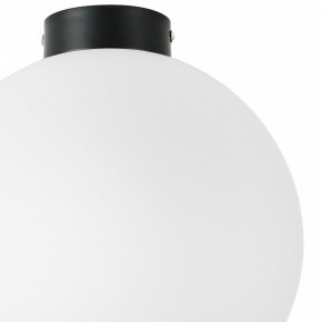 Накладной светильник Lightstar Globo 812037 в Троицке - troick.mebel24.online | фото 3