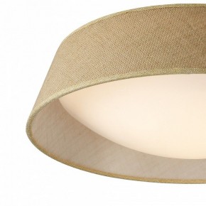 Накладной светильник Mantra Sabina 6413 в Троицке - troick.mebel24.online | фото 2