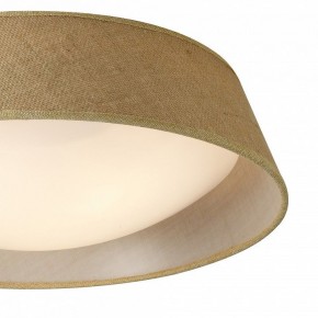 Накладной светильник Mantra Sabina 6413 в Троицке - troick.mebel24.online | фото 3