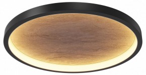 Накладной светильник Maytoni Orign MOD311CL-L40B3K в Троицке - troick.mebel24.online | фото