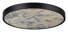 Накладной светильник Odeon Light Bergi 5064/50L в Троицке - troick.mebel24.online | фото 3