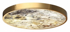 Накладной светильник Odeon Light Bergi 5079/50L в Троицке - troick.mebel24.online | фото 5