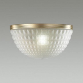 Накладной светильник Odeon Light Malaga 4936/1W в Троицке - troick.mebel24.online | фото 2