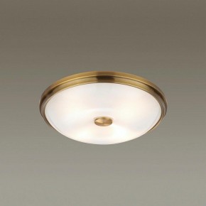 Накладной светильник Odeon Light Pelow 4956/4 в Троицке - troick.mebel24.online | фото 2