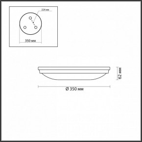 Накладной светильник Odeon Light Pelow 4956/4 в Троицке - troick.mebel24.online | фото 3