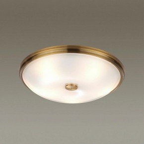Накладной светильник Odeon Light Pelow 4956/5 в Троицке - troick.mebel24.online | фото 2