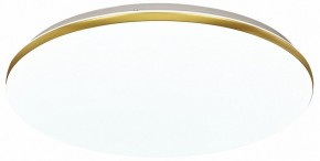 Накладной светильник Sonex Lassa 3043/DL в Троицке - troick.mebel24.online | фото 2