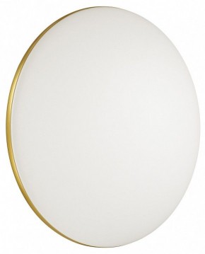 Накладной светильник Sonex Lassa 3043/DL в Троицке - troick.mebel24.online | фото 4