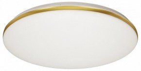 Накладной светильник Sonex Lassa 3043/DL в Троицке - troick.mebel24.online | фото 5