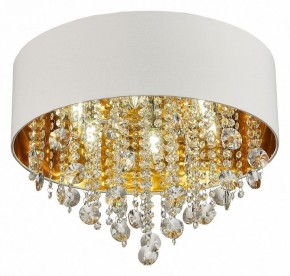 Накладной светильник ST-Luce Lacchia SL1350.502.06 в Троицке - troick.mebel24.online | фото 3