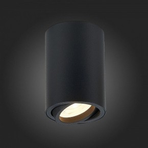 Накладной светильник ST-Luce Torus ST108.407.01 в Троицке - troick.mebel24.online | фото 4