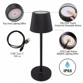 Настольная лампа декоративная Arte Lamp Fuyue A1616LT-1BK в Троицке - troick.mebel24.online | фото 3
