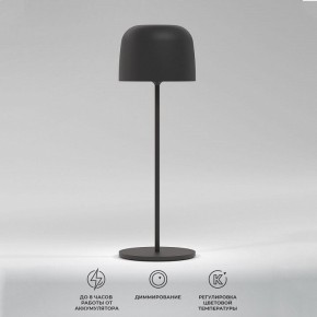 Настольная лампа декоративная Elektrostandard Bitty a069002 в Троицке - troick.mebel24.online | фото 2