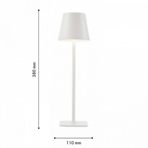 Настольная лампа декоративная F-promo Pyari 4614-1T в Троицке - troick.mebel24.online | фото 3