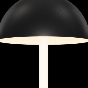 Настольная лампа декоративная Maytoni Ray Z012TL-L8B3K в Троицке - troick.mebel24.online | фото 5